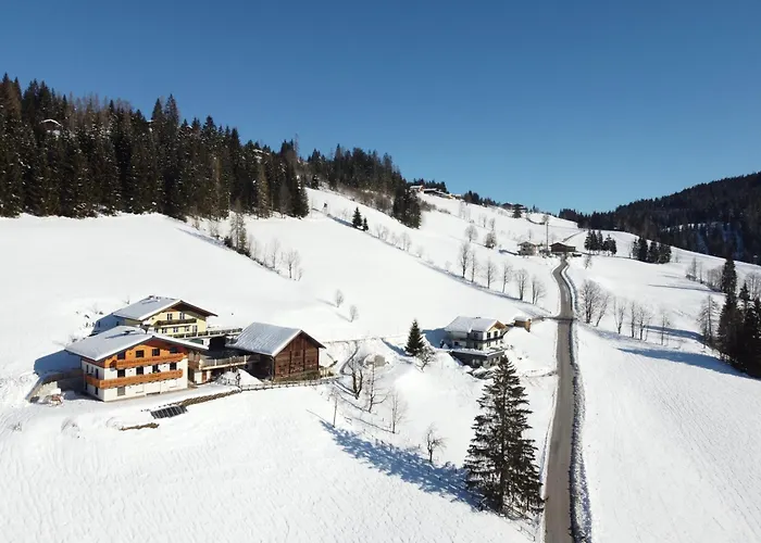 Klammgut * 바그라인